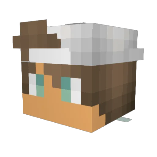 daytonplays Minecraft avatar head, 3D render