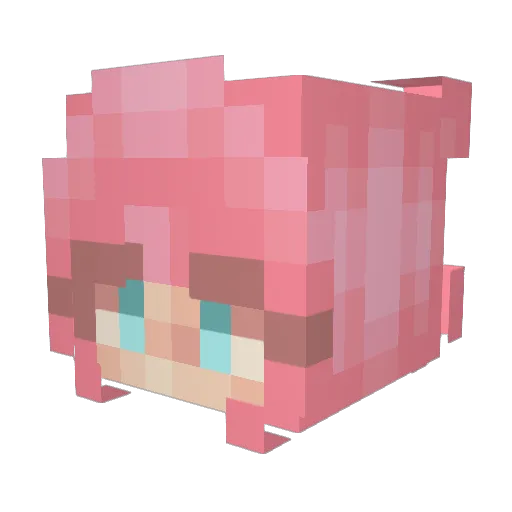 dayyylily Minecraft avatar head, 3D render