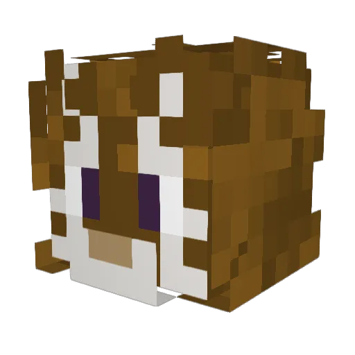dazaii_sans Minecraft avatar head, 3D render