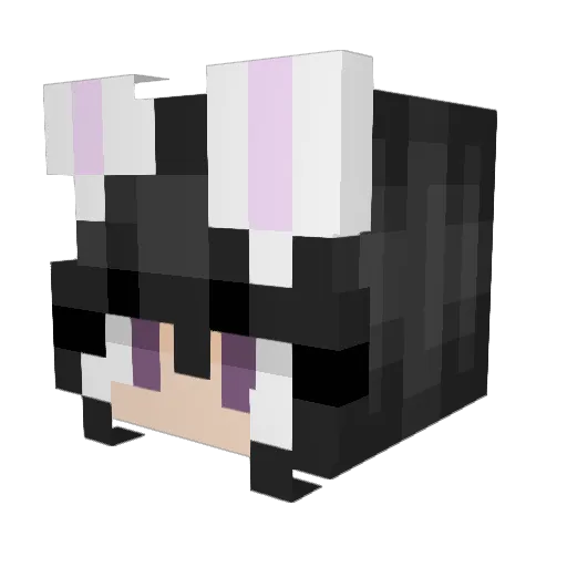 dazer11 Minecraft avatar head, 3D render