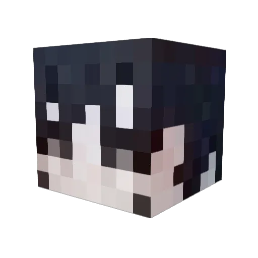 dazh53 Minecraft avatar head, 3D render