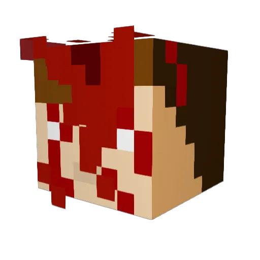 dbabyyoda0804 Minecraft avatar head, 3D render