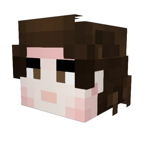 dbchickenj Minecraft avatar head, 3D render