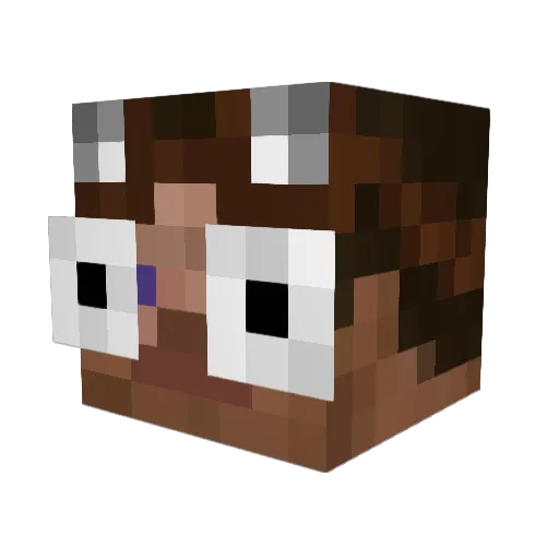 dbdlover Minecraft avatar head, 3D render
