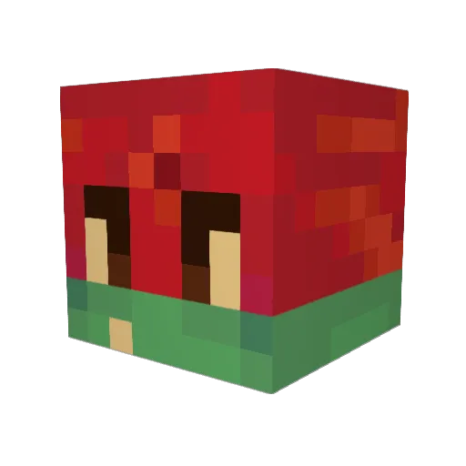 dbhh Minecraft avatar head, 3D render