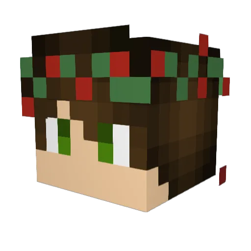 dbonnty Minecraft avatar head, 3D render