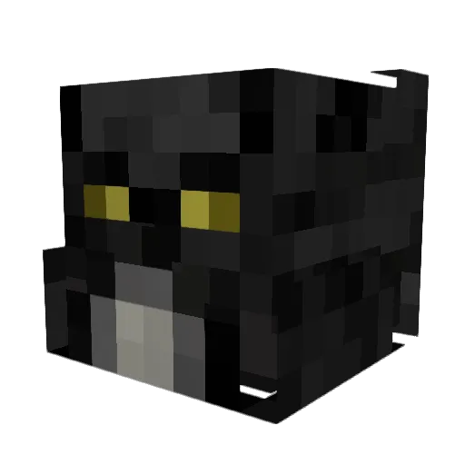 dbpro33 Minecraft avatar head, 3D render