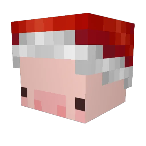 dbqt94 Minecraft avatar head, 3D render