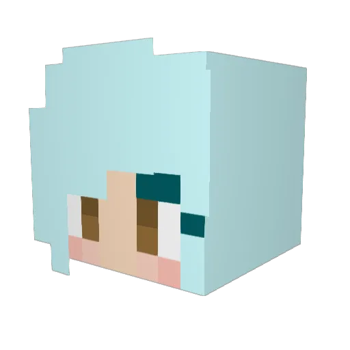 dbug1005 Minecraft avatar head, 3D render