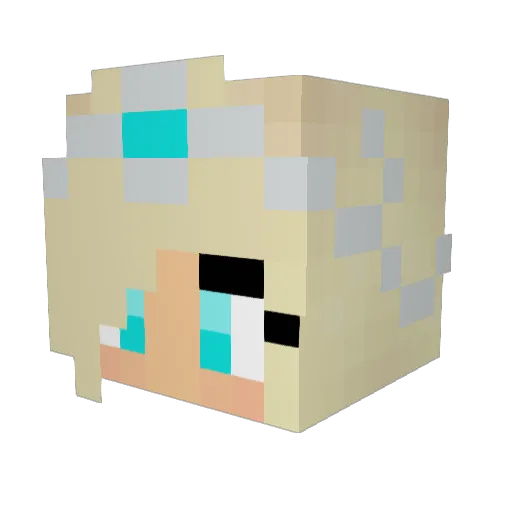 dbuilder105 Minecraft avatar head, 3D render