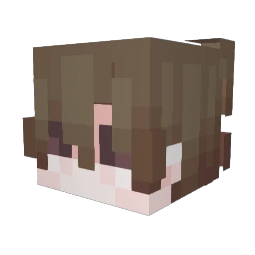 dbzBWP Minecraft avatar head, 3D render