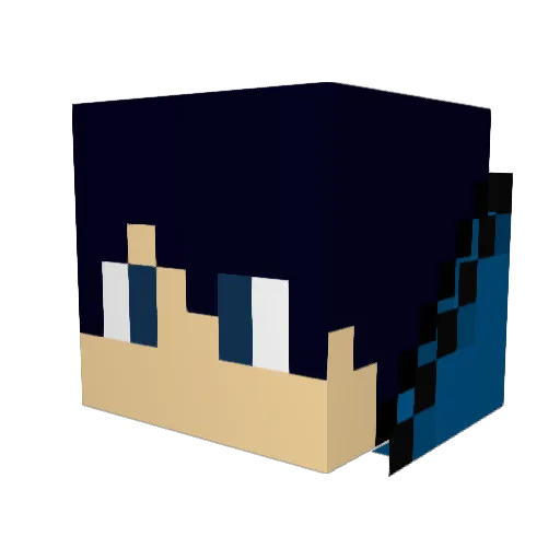 dbzw0lfc00n Minecraft avatar head, 3D render