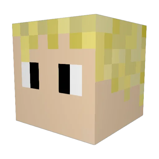 dc4nsj Minecraft avatar head, 3D render