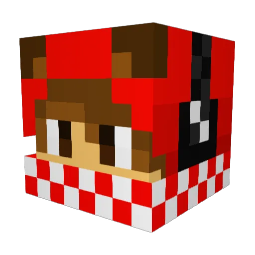 dc8001 Minecraft avatar head, 3D render