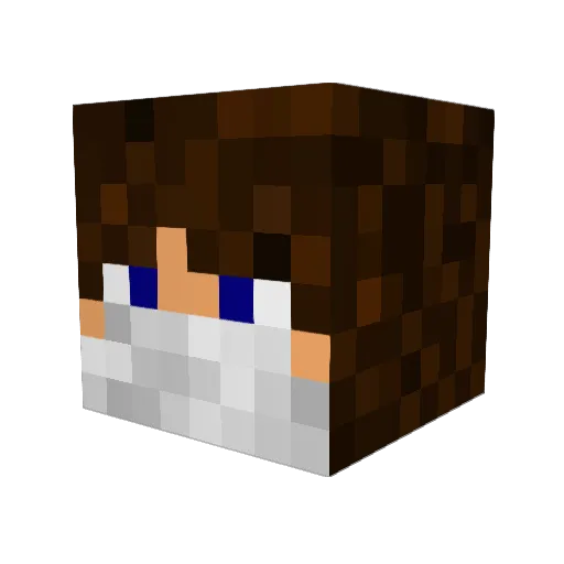 dcave6644 Minecraft avatar head, 3D render