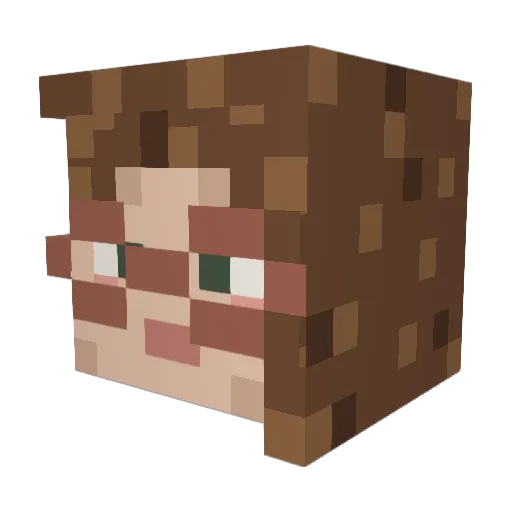 dchw Minecraft avatar head, 3D render