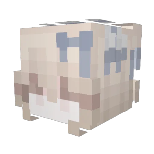 dcnaaa Minecraft avatar head, 3D render