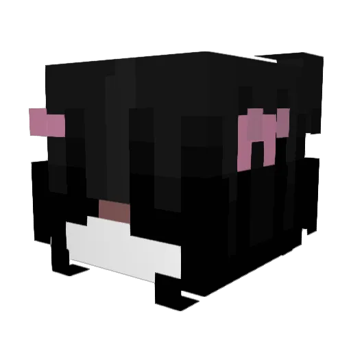 dco2m Minecraft avatar head, 3D render
