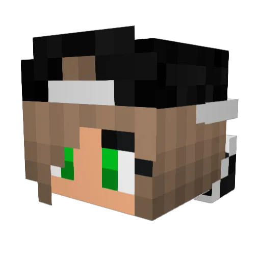 dcosta77 Minecraft avatar head, 3D render