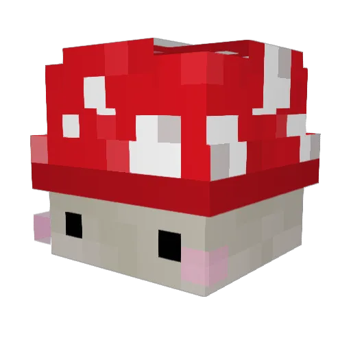 dcwz Minecraft avatar head, 3D render