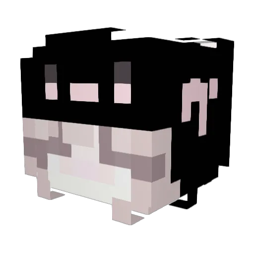 ddamii Minecraft avatar head, 3D render