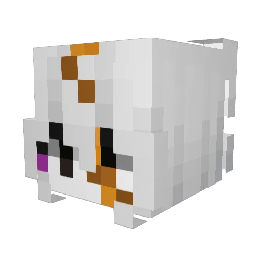 ddandelions Minecraft avatar head, 3D render