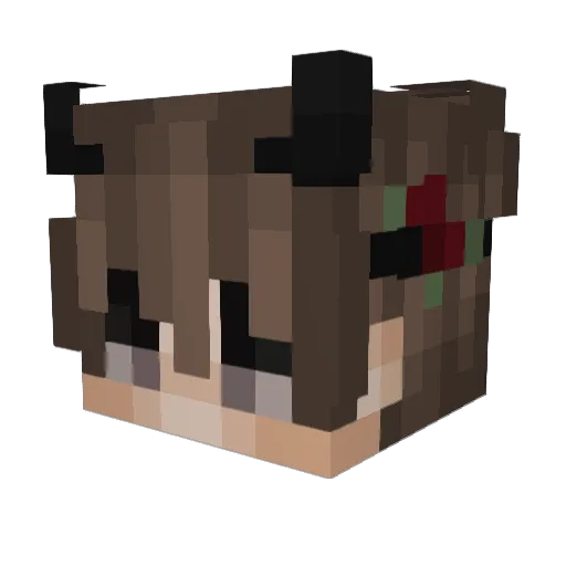 dddshelleys Minecraft avatar head, 3D render