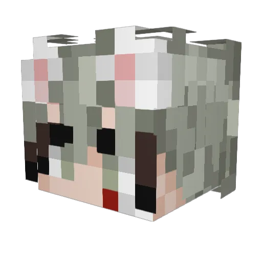 ddg08 Minecraft avatar head, 3D render