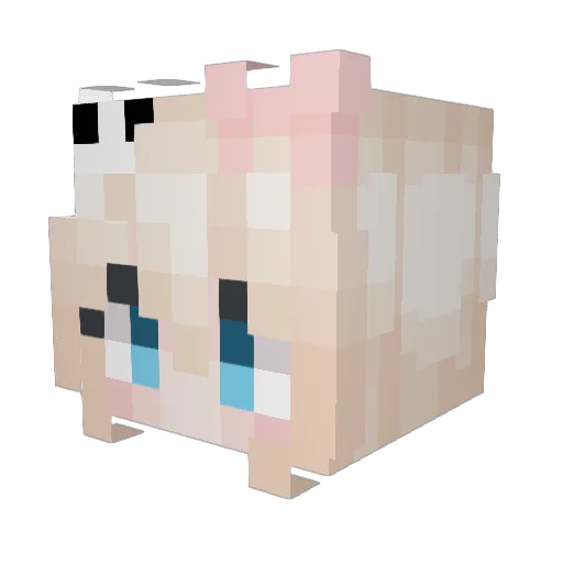 ddgrl Minecraft avatar head, 3D render