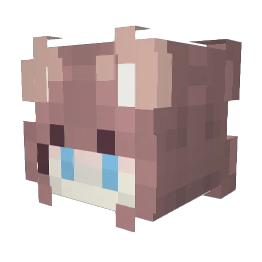 ddk2023 Minecraft avatar head, 3D render