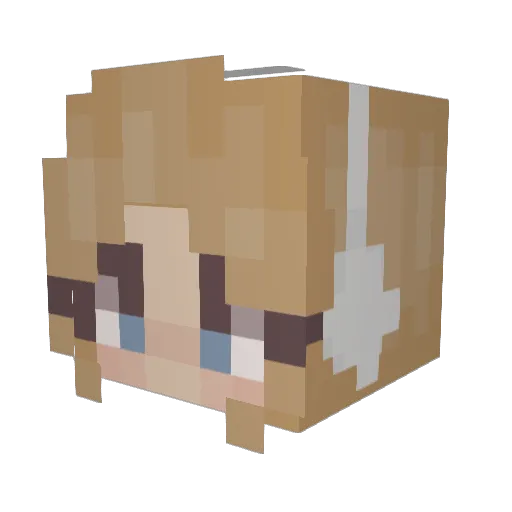 ddmegadoodoo06 Minecraft avatar head, 3D render