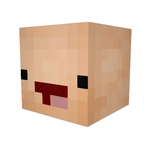 ddongsigi Minecraft avatar head, 3D render