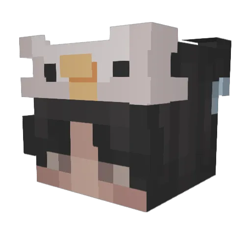 ddoong_2 Minecraft avatar head, 3D render