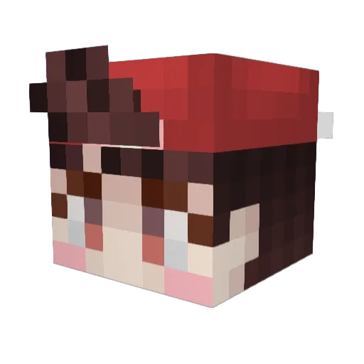 ddori14 Minecraft avatar head, 3D render