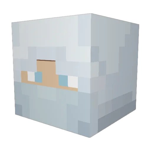 ddranic Minecraft avatar head, 3D render