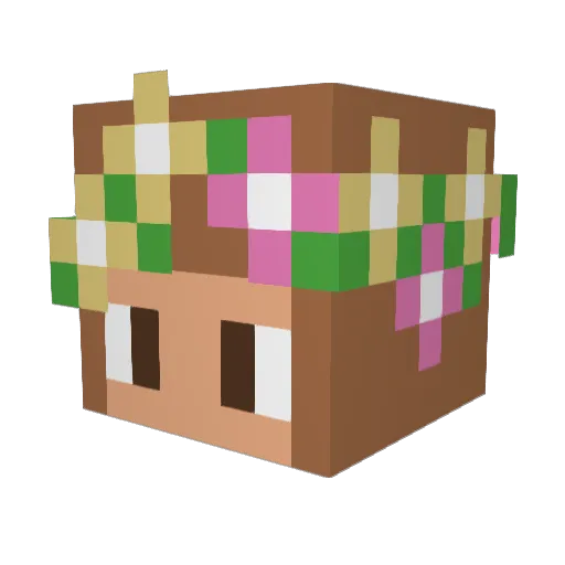 ddsanss Minecraft avatar head, 3D render