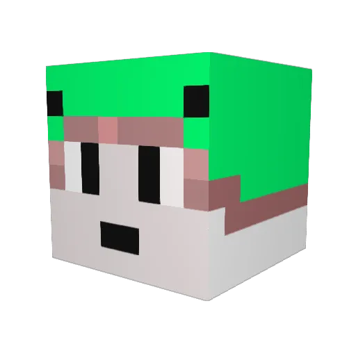 ddungping Minecraft avatar head, 3D render