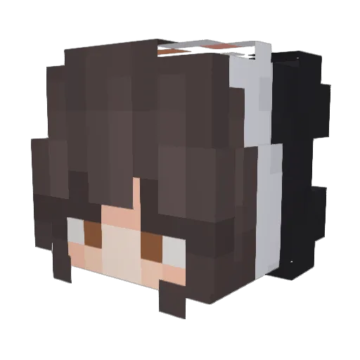 ddunno Minecraft avatar head, 3D render