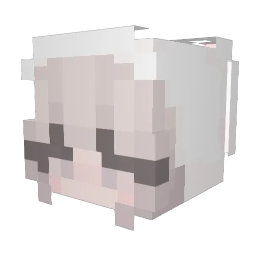 ddxstiny Minecraft avatar head, 3D render