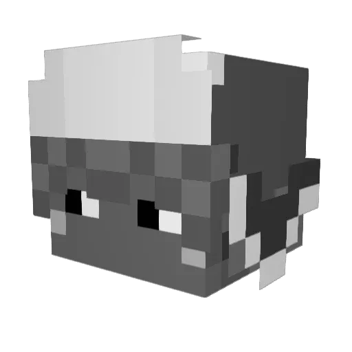de_zay Minecraft avatar head, 3D render