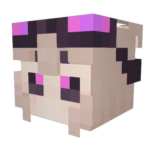 deadbunn1 Minecraft avatar head, 3D render
