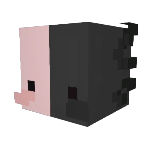 deadguy430 Minecraft avatar head, 3D render