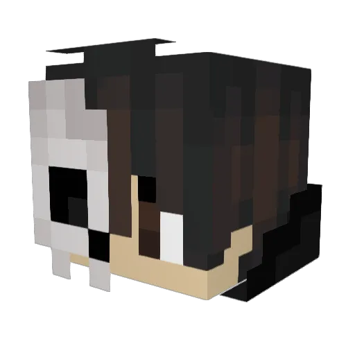 deadking264 Minecraft avatar head, 3D render