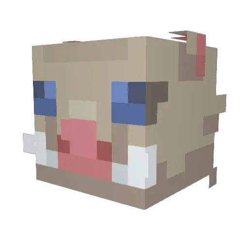 deadlycaster69 Minecraft avatar head, 3D render