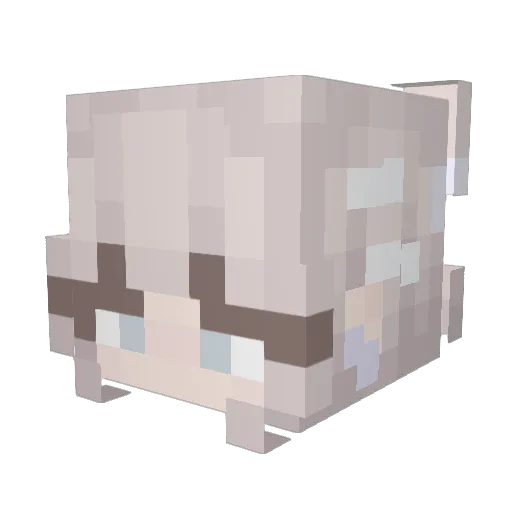 deadlyeden Minecraft avatar head, 3D render