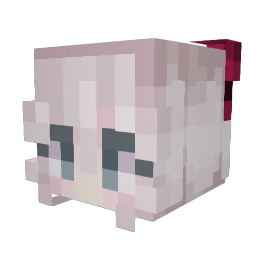 deadlyrose27 Minecraft avatar head, 3D render