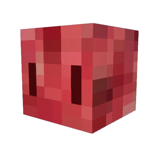 deadman0210 Minecraft avatar head, 3D render