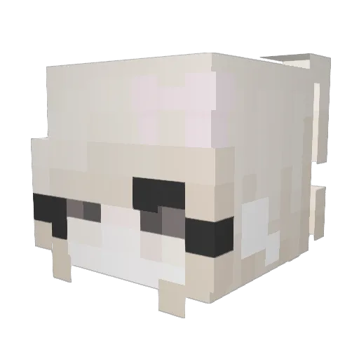 deadst Minecraft avatar head, 3D render