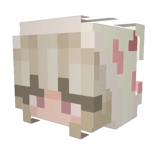 deadzmy Minecraft avatar head, 3D render