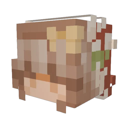 dearestnova_ Minecraft avatar head, 3D render